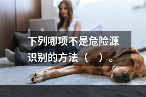 下列哪项不是危险源识别的方法（　）。