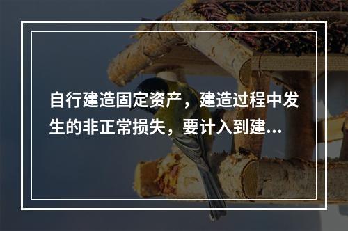 自行建造固定资产，建造过程中发生的非正常损失，要计入到建造成