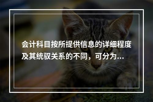 会计科目按所提供信息的详细程度及其统驭关系的不同，可分为（