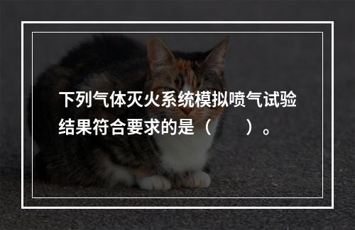 下列气体灭火系统模拟喷气试验结果符合要求的是（  ）。