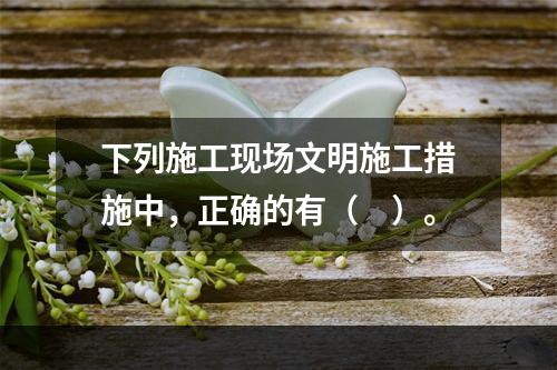 下列施工现场文明施工措施中，正确的有（　）。