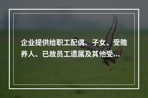 企业提供给职工配偶、子女、受赡养人、已故员工遗属及其他受益人