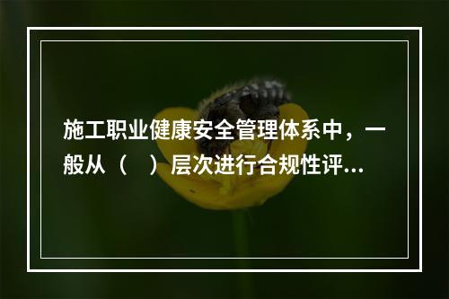 施工职业健康安全管理体系中，一般从（　）层次进行合规性评价。