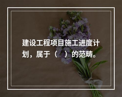 建设工程项目施工进度计划，属于（　）的范畴。