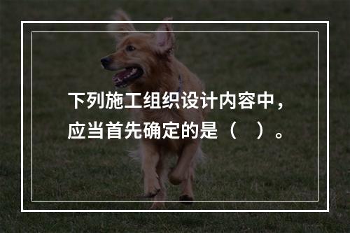 下列施工组织设计内容中，应当首先确定的是（　）。