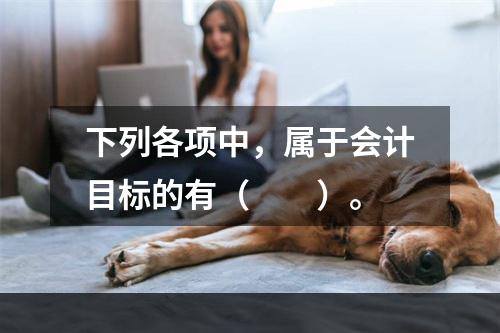 下列各项中，属于会计目标的有（　　）。