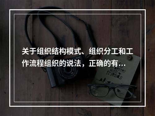 关于组织结构模式、组织分工和工作流程组织的说法，正确的有（　