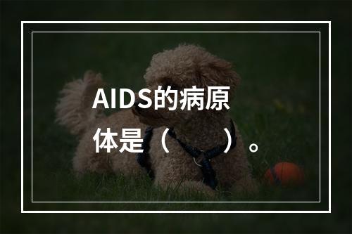 AIDS的病原体是（　　）。