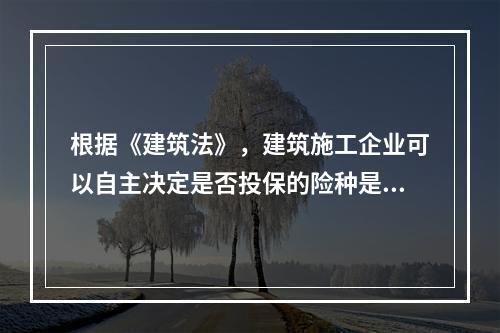 根据《建筑法》，建筑施工企业可以自主决定是否投保的险种是（　