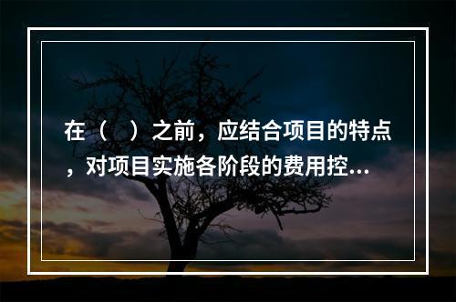 在（　）之前，应结合项目的特点，对项目实施各阶段的费用控制、