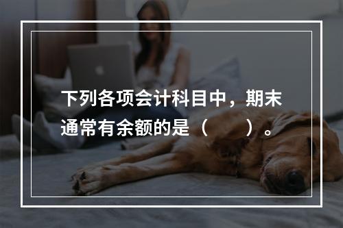 下列各项会计科目中，期末通常有余额的是（　　）。