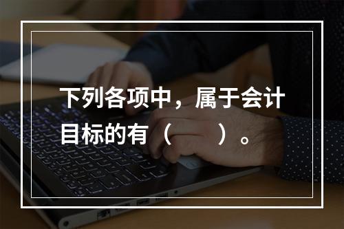 下列各项中，属于会计目标的有（　　）。