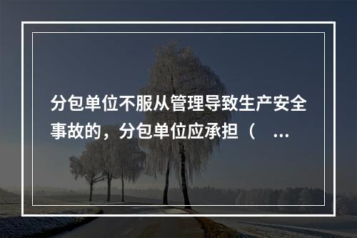 分包单位不服从管理导致生产安全事故的，分包单位应承担（　）。