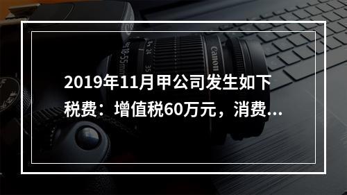 2019年11月甲公司发生如下税费：增值税60万元，消费税8