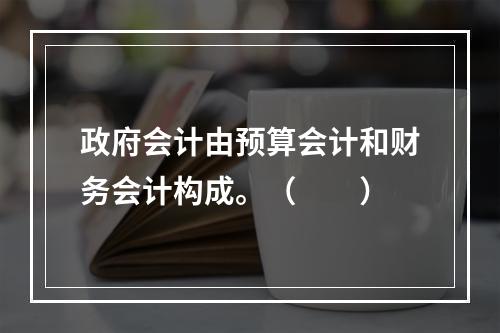 政府会计由预算会计和财务会计构成。（　　）