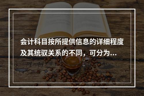 会计科目按所提供信息的详细程度及其统驭关系的不同，可分为（