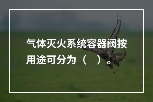 气体灭火系统容器阀按用途可分为（　）。