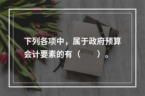 下列各项中，属于政府预算会计要素的有（　　）。