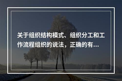 关于组织结构模式、组织分工和工作流程组织的说法，正确的有（　