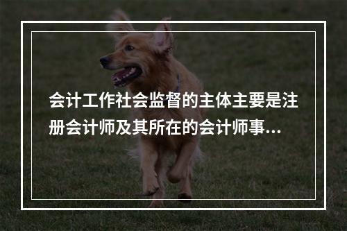 会计工作社会监督的主体主要是注册会计师及其所在的会计师事务所