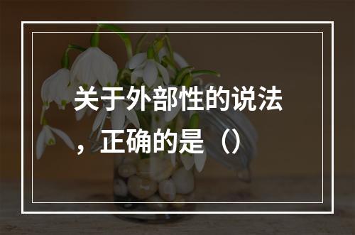 关于外部性的说法，正确的是（）