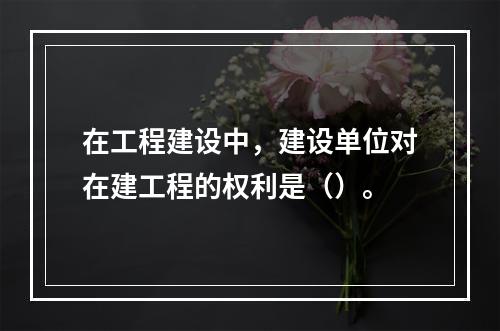 在工程建设中，建设单位对在建工程的权利是（）。