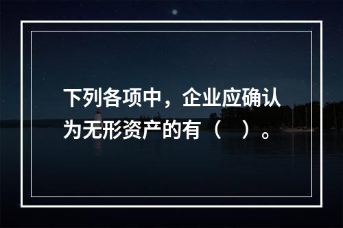 下列各项中，企业应确认为无形资产的有（　）。