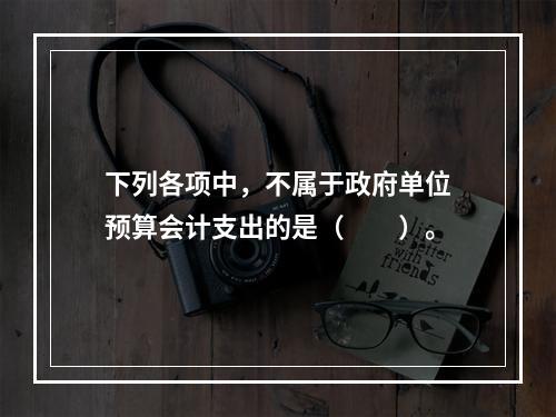 下列各项中，不属于政府单位预算会计支出的是（　　）。