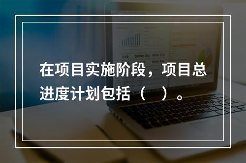 在项目实施阶段，项目总进度计划包括（　）。