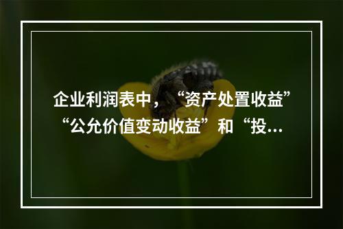 企业利润表中，“资产处置收益”“公允价值变动收益”和“投资收