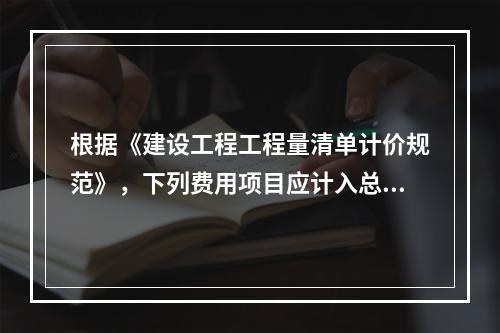 根据《建设工程工程量清单计价规范》，下列费用项目应计入总承包