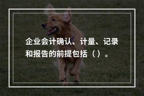 企业会计确认、计量、记录和报告的前提包括（ ）。