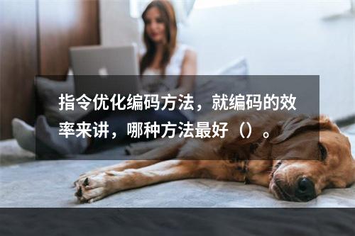 指令优化编码方法，就编码的效率来讲，哪种方法最好（）。