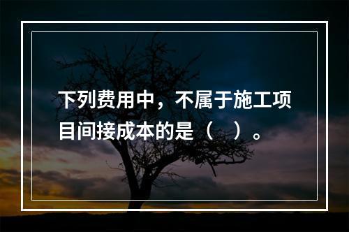 下列费用中，不属于施工项目间接成本的是（　）。