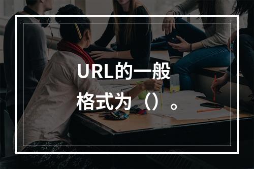 URL的一般格式为（）。