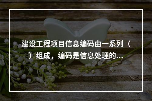 建设工程项目信息编码由一系列（　）组成，编码是信息处理的一项