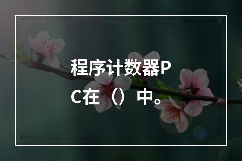 程序计数器PC在（）中。