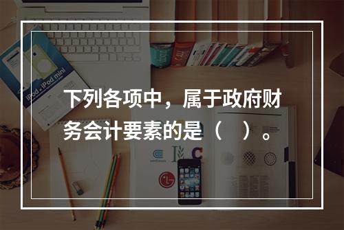 下列各项中，属于政府财务会计要素的是（　）。