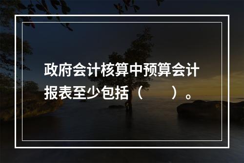 政府会计核算中预算会计报表至少包括（　　）。