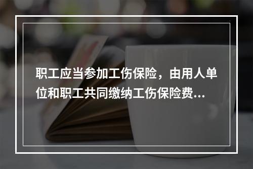 职工应当参加工伤保险，由用人单位和职工共同缴纳工伤保险费。（