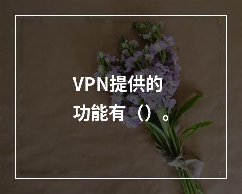 VPN提供的功能有（）。