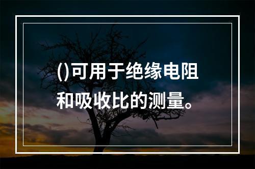 ()可用于绝缘电阻和吸收比的测量。