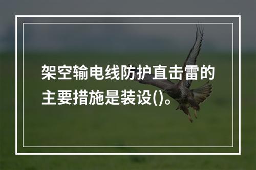 架空输电线防护直击雷的主要措施是装设()。