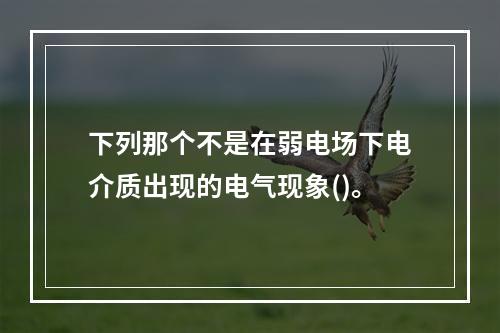 下列那个不是在弱电场下电介质出现的电气现象()。