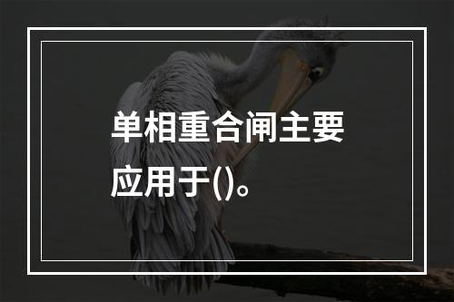 单相重合闸主要应用于()。