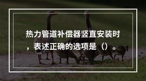 热力管道补偿器竖直安装时，表述正确的选项是（）。