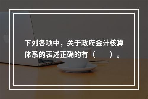 下列各项中，关于政府会计核算体系的表述正确的有（　　）。