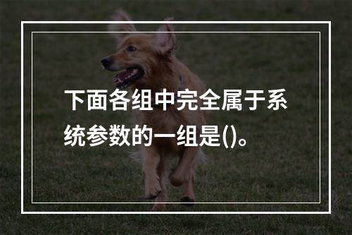 下面各组中完全属于系统参数的一组是()。