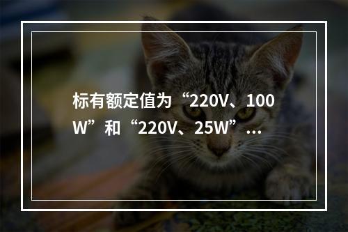 标有额定值为“220V、100W”和“220V、25W”白炽