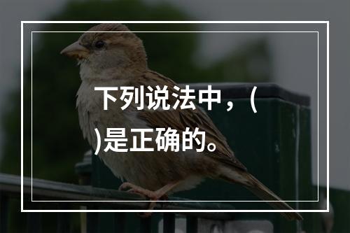 下列说法中，()是正确的。